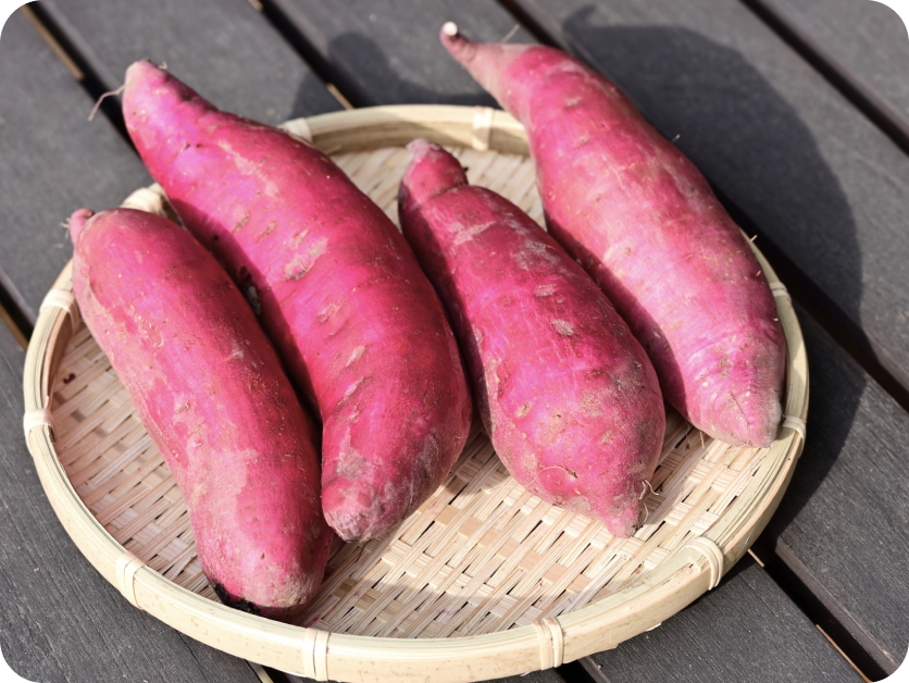 初めてのOEMでも、完成まで伴走